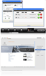 Skins personalizados